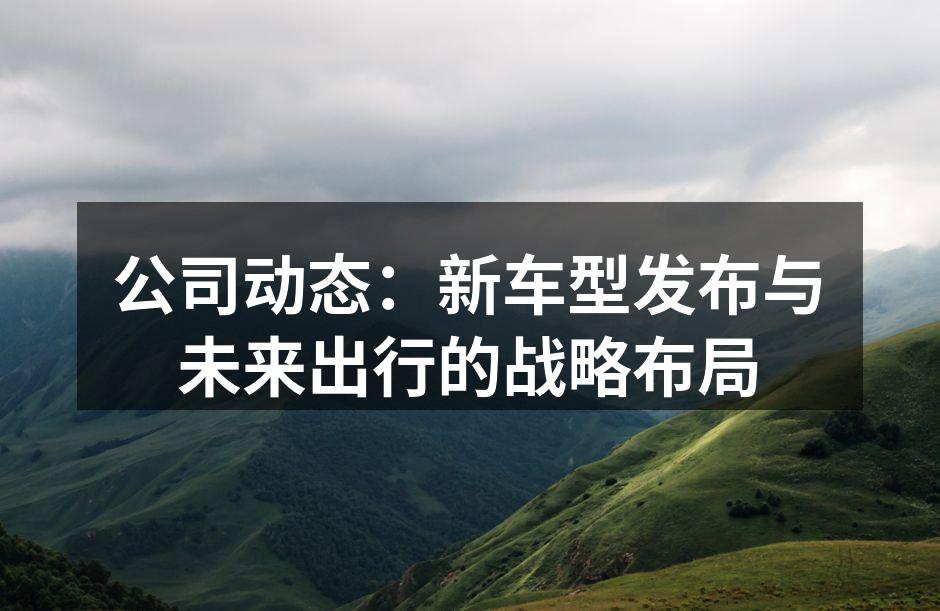 新车型发布会现场
