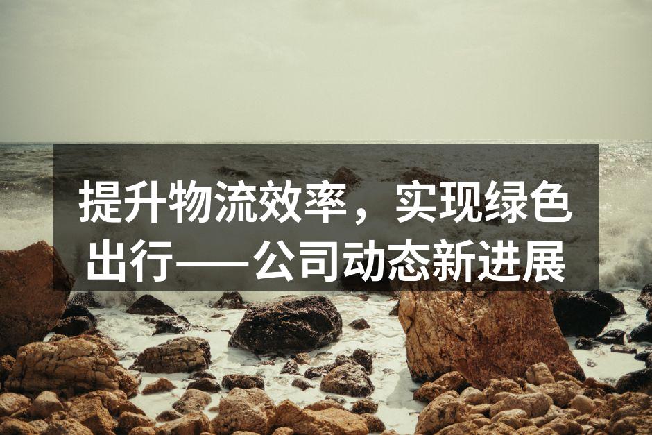 优化后的物流运输流程示意图